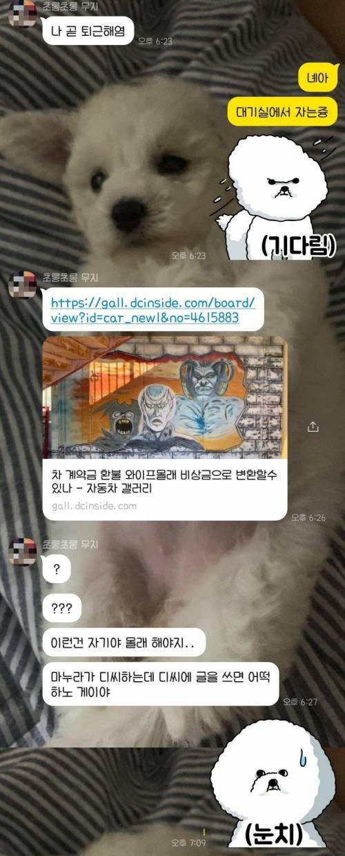 비상금 계획 들킨 디씨인.jpg