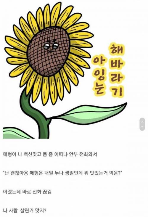 매형 목숨을 살린 웃대인후기.jpg