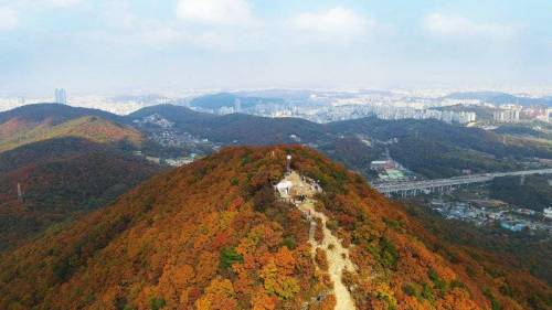 곰표 신박한 품절 굿즈 마케팅