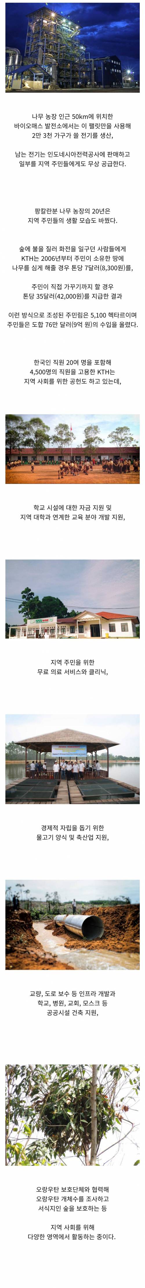 [스압] 인도네시아 K-나무농장 근황.news