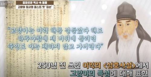 조선시대 선비가 분석한 고양이 성격.jpg
