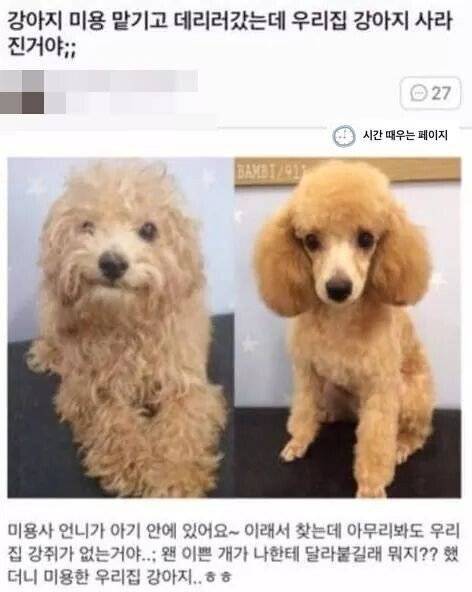 비싼돈 내고 애견 미용 맡기는 이유.jpg