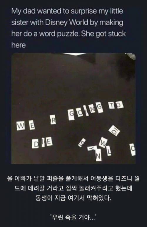 딸을 디즈니월드에 데려가고 싶었던 아빠.jpg