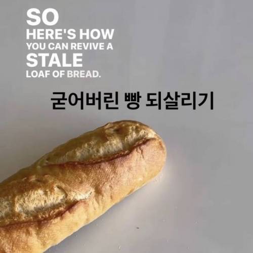 딱딱하게 굳은 빵 되살리는 방법.jpg