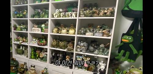 엄마 광기의 개구리방.jpg