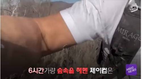 [스압] 비행기 고의 추락 의혹 유튜버 조회수 때문에 주작?