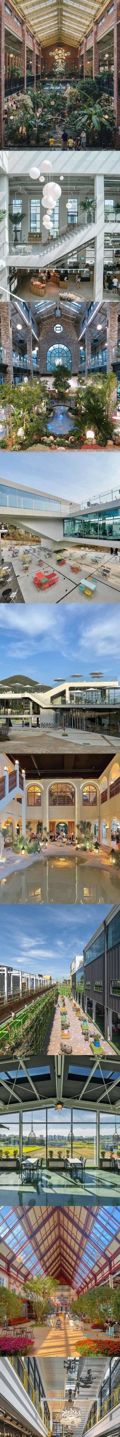 [스압] 최근 전국적으로 많이 늘어나는 가게