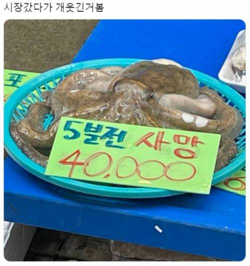 신선도 최고.jpg