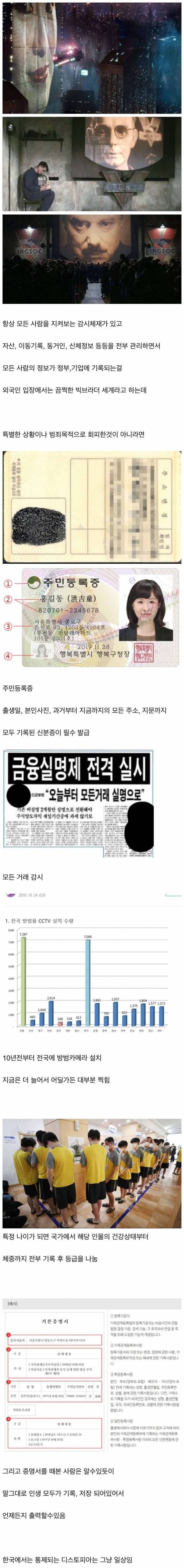 한국인이 통제된 디스토피아에 이입 못하는 이유
