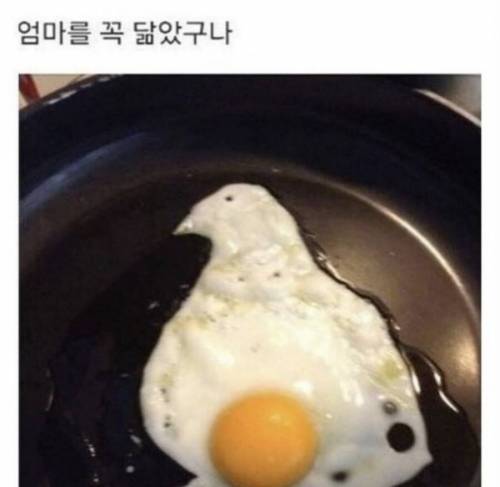 엄마를 똑닮았구나….jpg