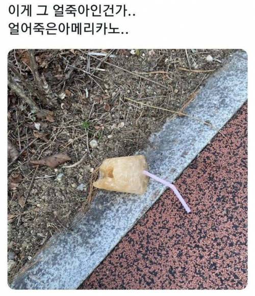 요즘 얼죽아의 뜻.jpg