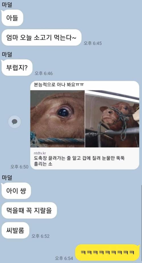 엄마 오늘 소고기 먹는다~ 부럽지?