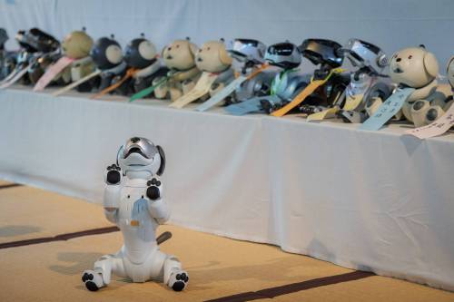 일본 로봇 강아지 장례식.jpg