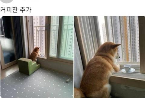 커피 한 잔 추가했을 뿐인데