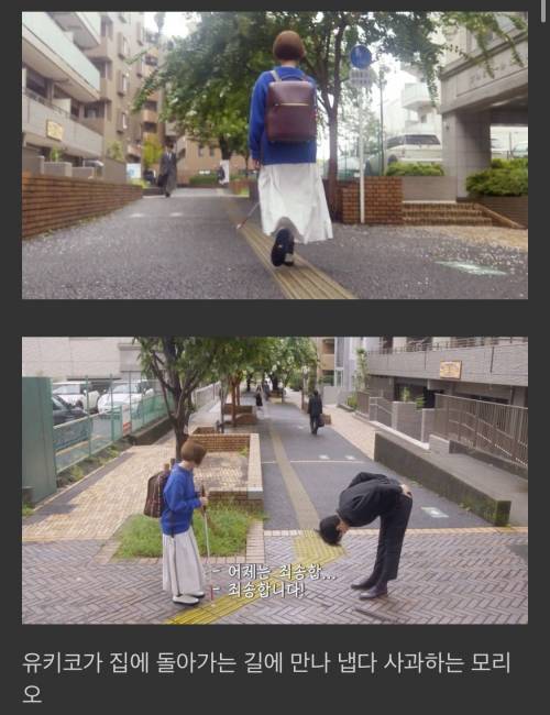 [스압] 제가 첫눈에 반한 사람이 시각장애인이에요