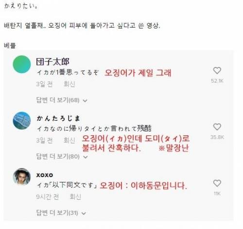 오징어 피부에 글자 쓰기