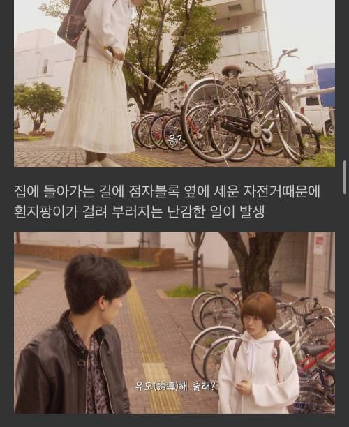 [스압] 제가 첫눈에 반한 사람이 시각장애인이에요