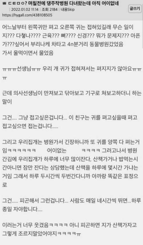 강아지 병원 다녀왔는데 아직도 어이 없음