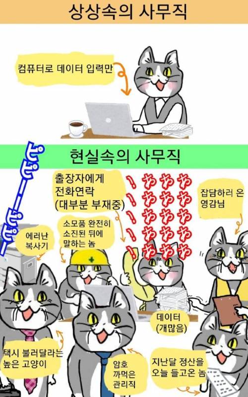 사무직 상상 VS 현실.jpg