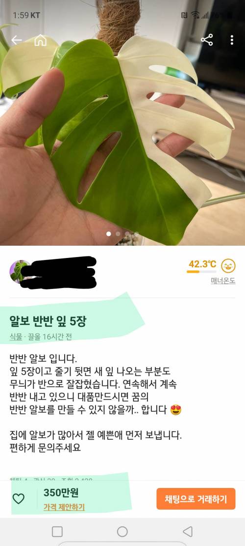 나뭇잎 5장 350만원