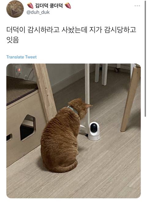 감시하라고 사놨더니 감시당하고 있는