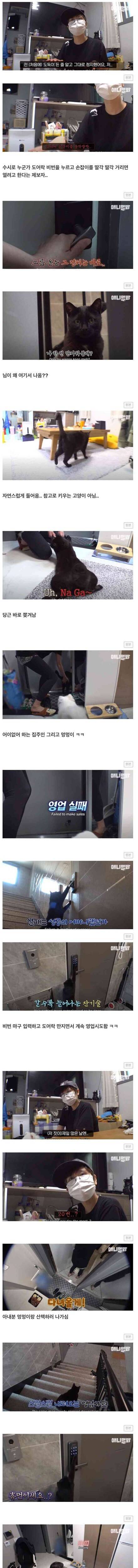 [스압] 비번이 틀려도 도어락을 계속 누르는..jpg