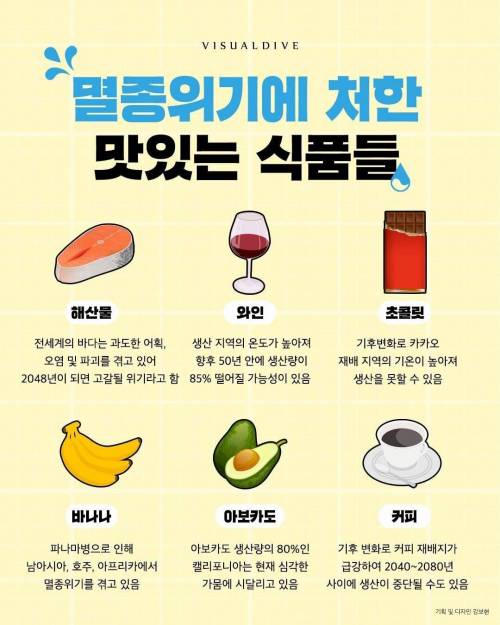 멸종 위기에 처한 식품들