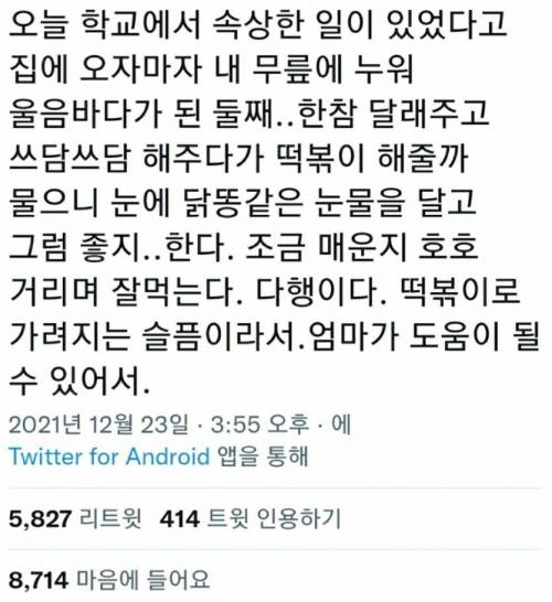 다행이다. 떡볶이로 가려지는 슬픔이라서.