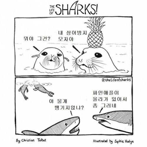 이거 상어 방지 모자야