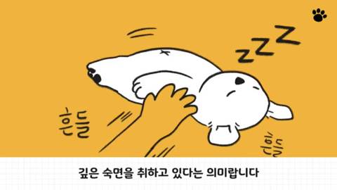 [스압] 강아지 수면 자세 이유.jpg