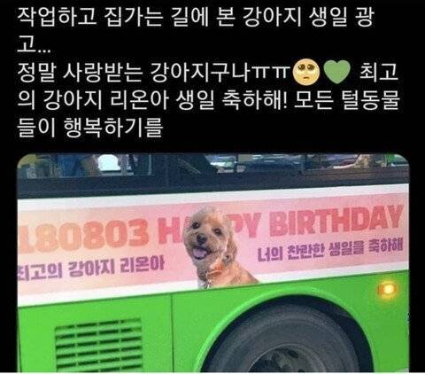 딸에게 버스 광고비를 물어본 엄마.jpg