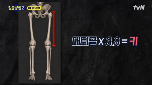 넓적다리뼈로 키를 측정 할수있는 방법.jpg