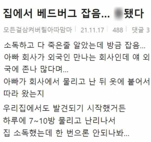 최근 한국에 증가하고 있는 끔찍한 곤충.jpg