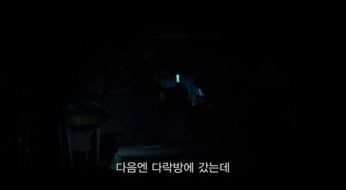 [스압] 사고가 난 뒤에 내가 아는 건 내 쌍둥이 형제 뿐인데, 알고 보니 형제는 계속 나를 속이고 있었어.jpg