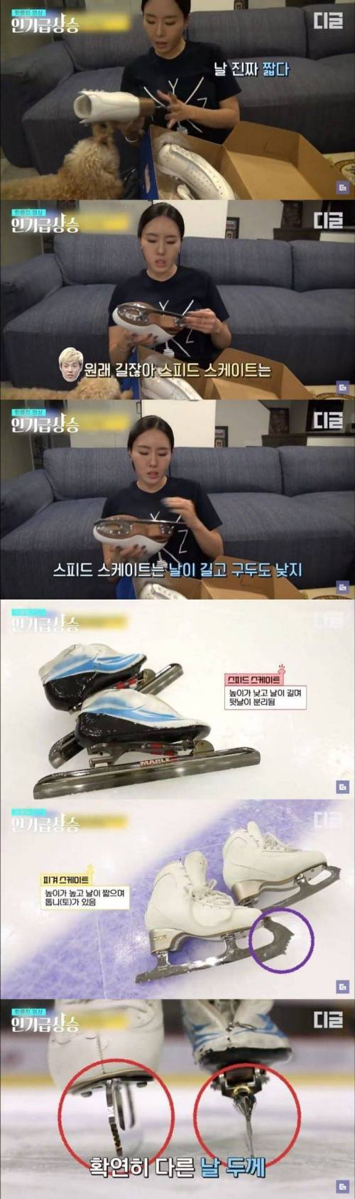 [스압] 서로의 스케이트를 바꿔 신어본 스피드스케이팅과 피겨 국가대표 선수들 반응