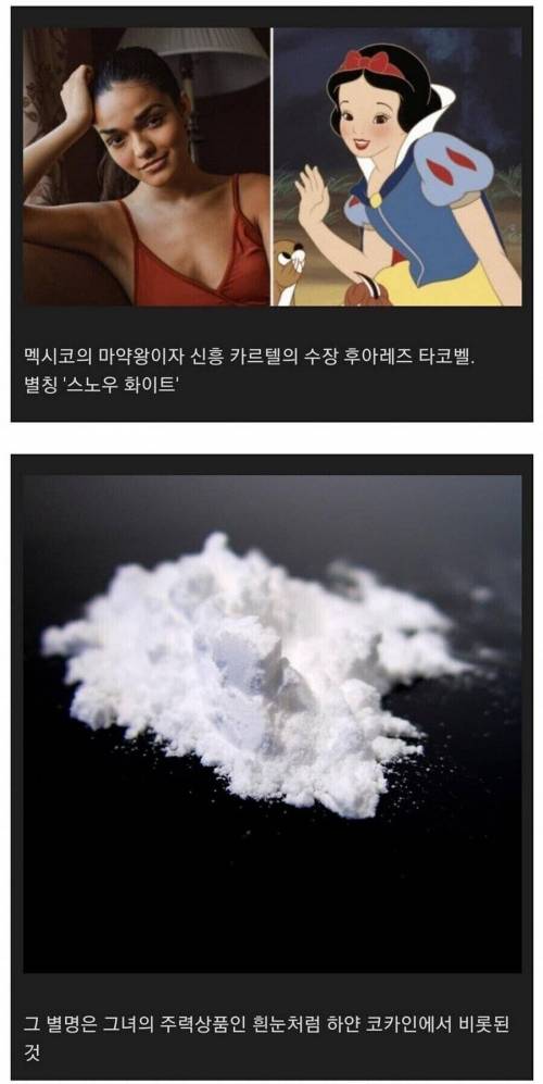 시청률 보장하는 백설공주 리메이크 스토리.jpg