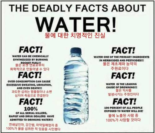 물에 대한 치명적인 진실.jpg