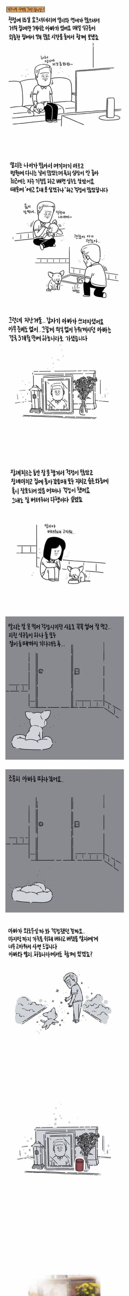 [스압] 갑자기 떠난 아빠와 15살 강아지.jpg