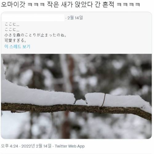 작은 새가 앉았다 간 흔적.jpg