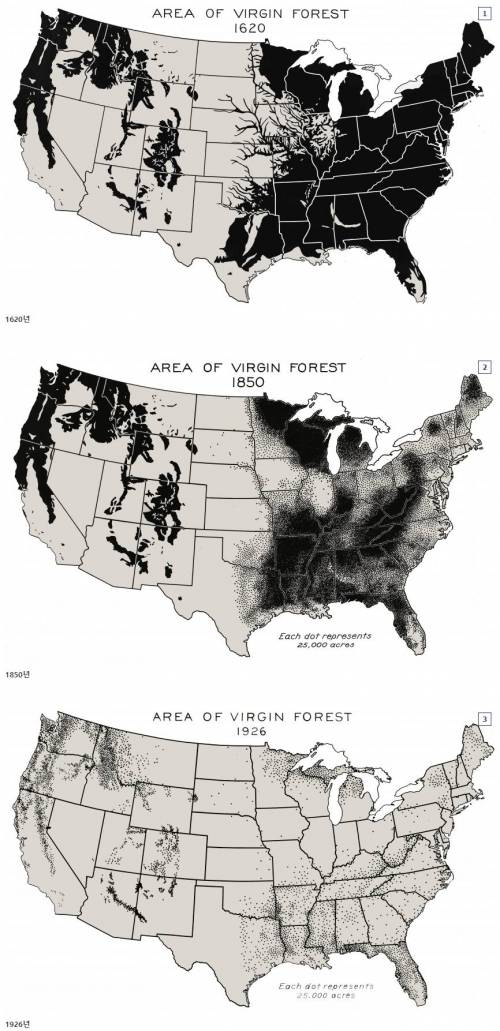 미국의 삼림 변화
