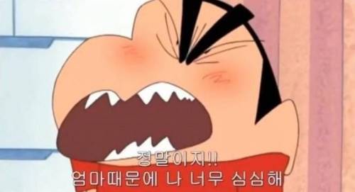 엄마한테 보내면 은근히 좋아하는 짤.jpg