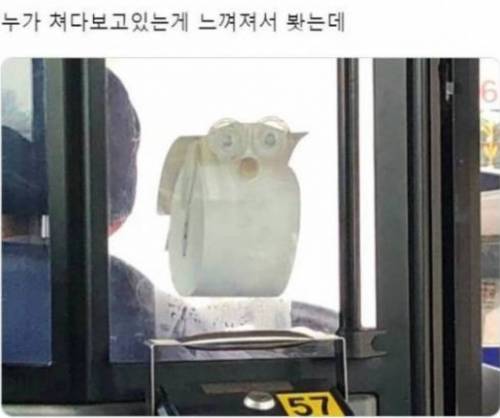 누가 쳐다보고 있는 게 느껴져서 봤는데