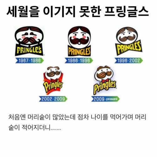 결국 세월을 견디지 못한 브랜드