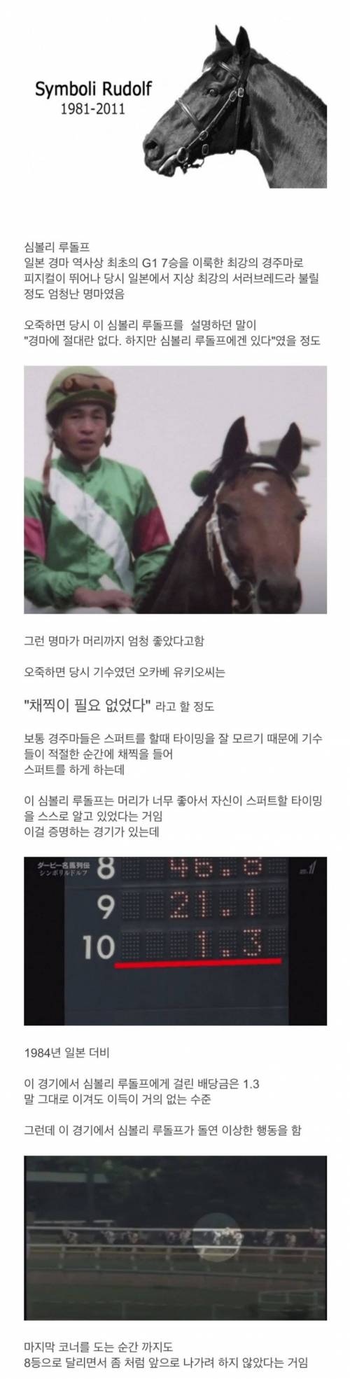 [스압] 영물이라고 불리던 경주마.jpgif