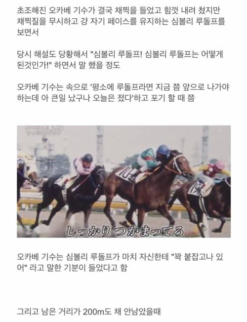 [스압] 영물이라고 불리던 경주마.jpgif