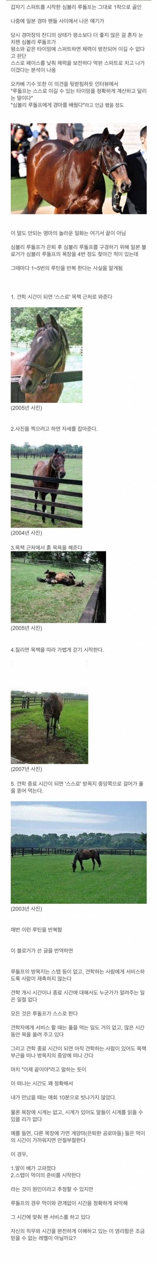 [스압] 영물이라고 불리던 경주마.jpgif