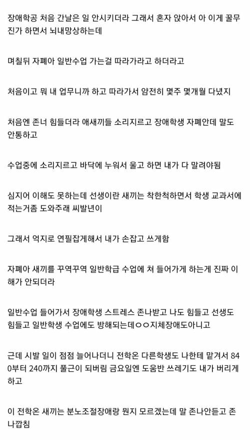 디씨의 장애학교 공익썰