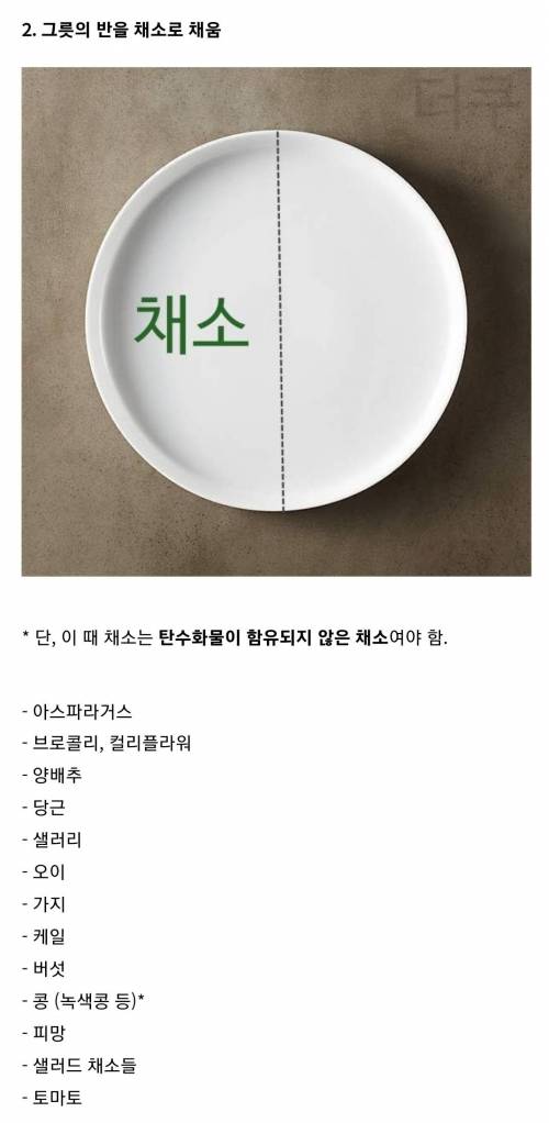 [스압] 외국에서 당뇨예방+당뇨환자들에게 권장하는 원 플레이트