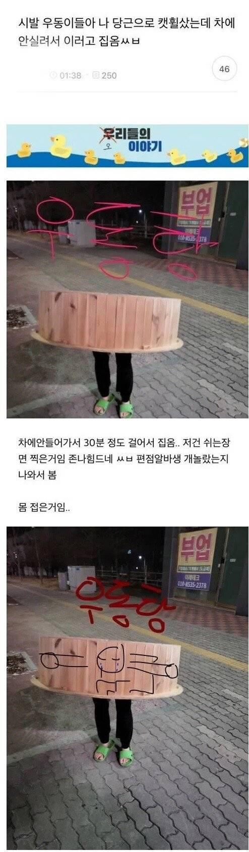 당근으로 캣휠 사러 갔는데 차에 안실려서 이러고 집옴