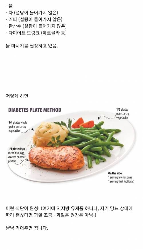 [스압] 외국에서 당뇨예방+당뇨환자들에게 권장하는 원 플레이트